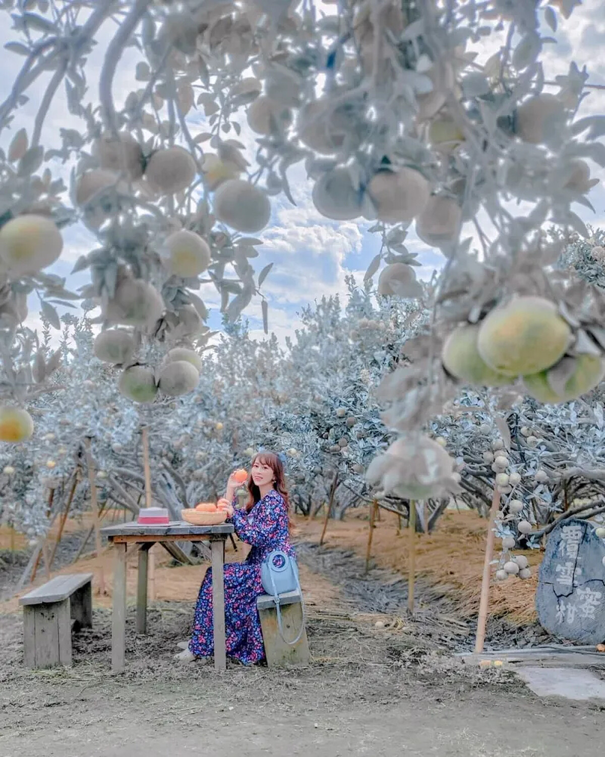 圖 / IG @lineva0615