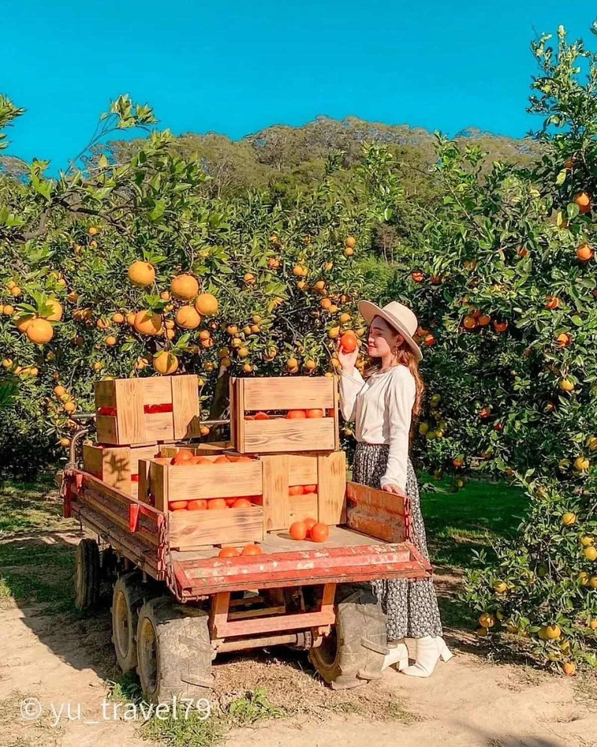 圖 / IG @yu_travel79