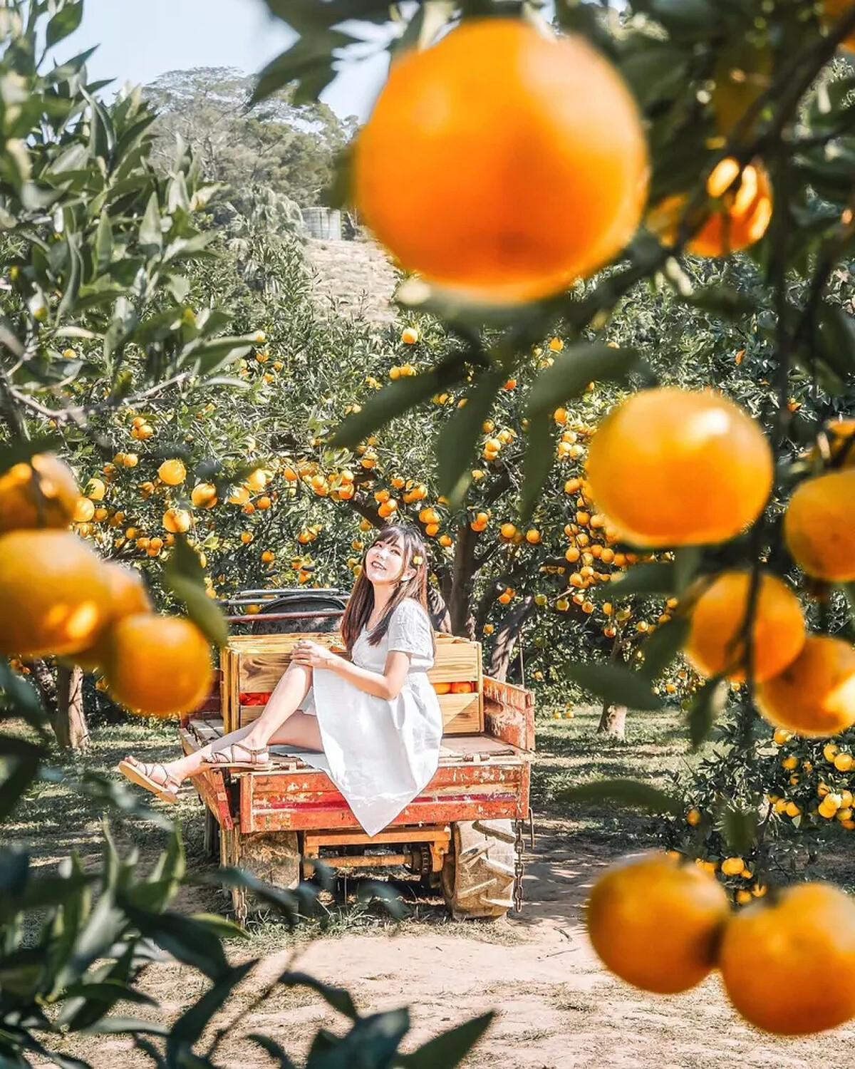 圖 / IG @ak_travel_tw