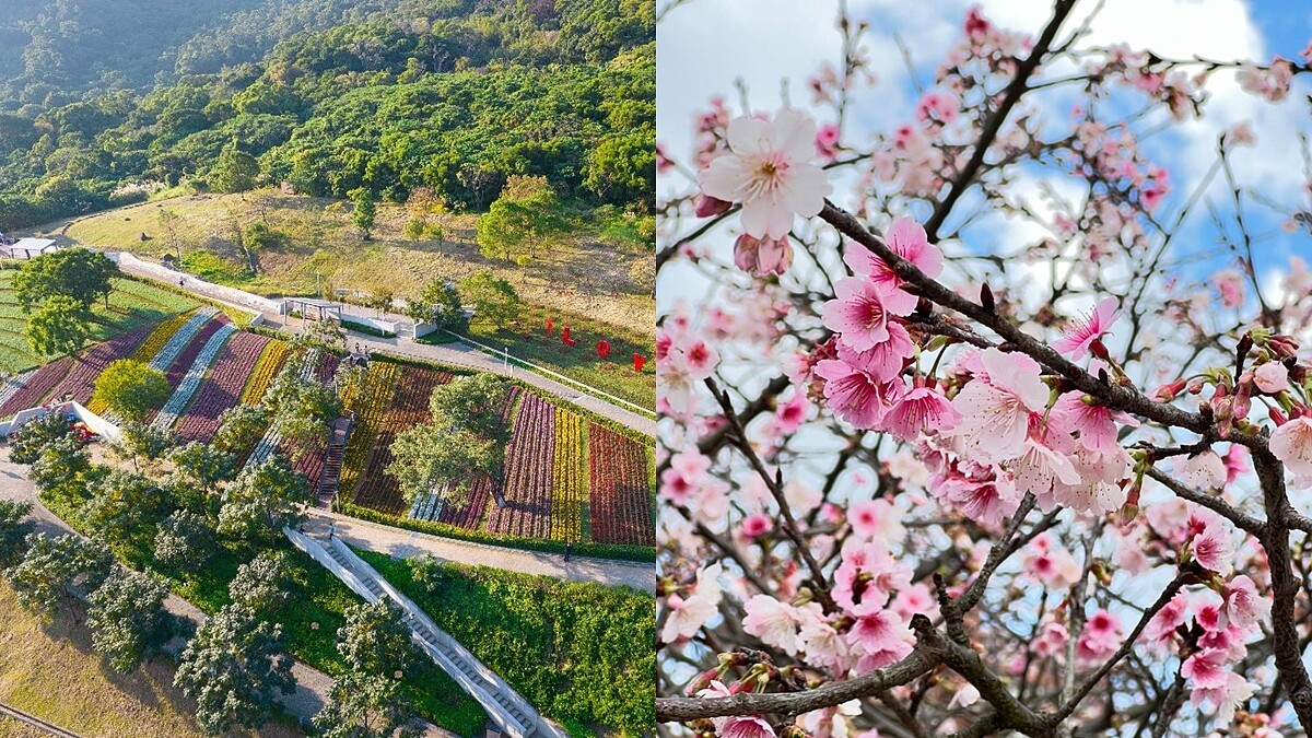 春節出門前先查看！「臺北旅遊人潮警示燈號系統」上線，16個熱門景點資訊一次看