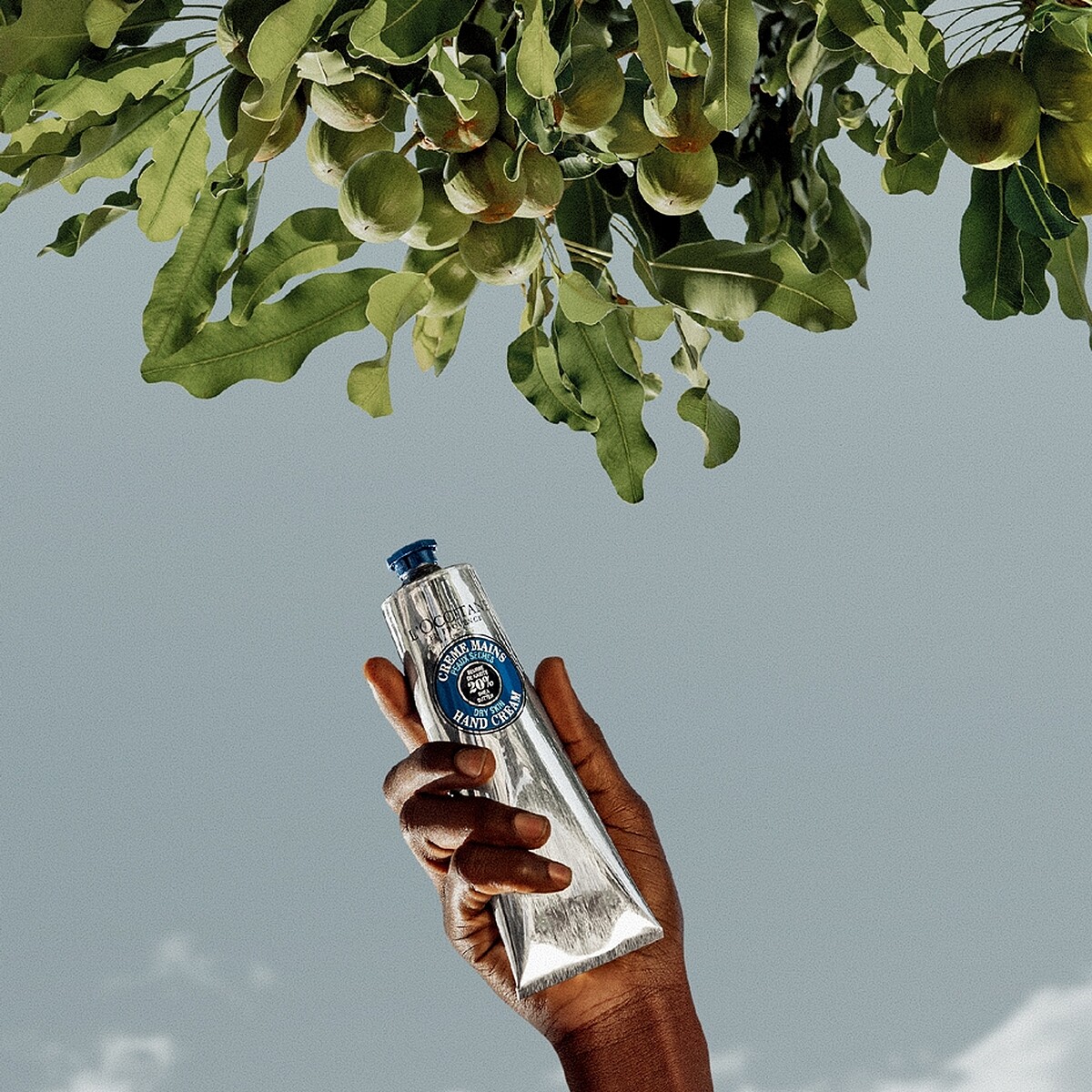 L&rsquo;OCCITANE歐舒丹乳油木系列全新升級主視覺。