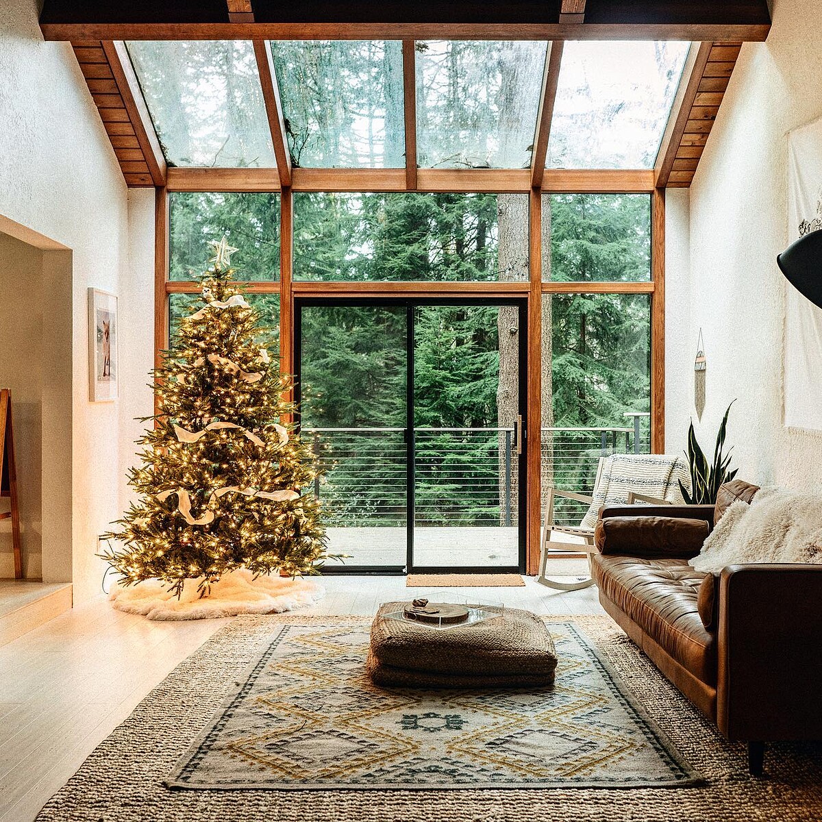 玻璃屋頂與大面玻璃牆面可一覽窗外的森林景致。