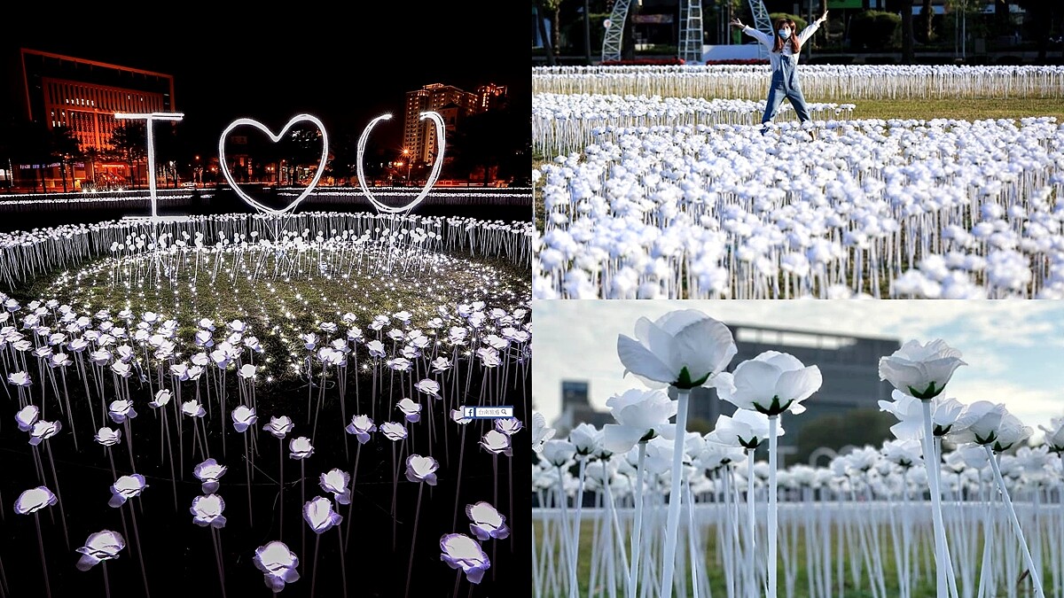 3萬朵「白色玫瑰花海」降落台南!近拍、空中俯瞰都浪漫破表,時間只到3月底