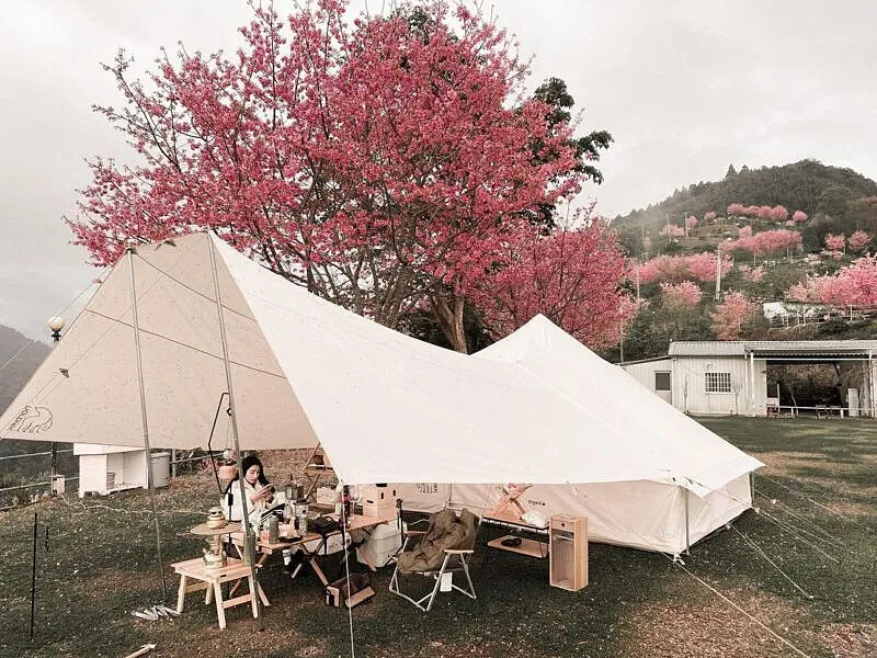 圖片來源／IG@nero1014