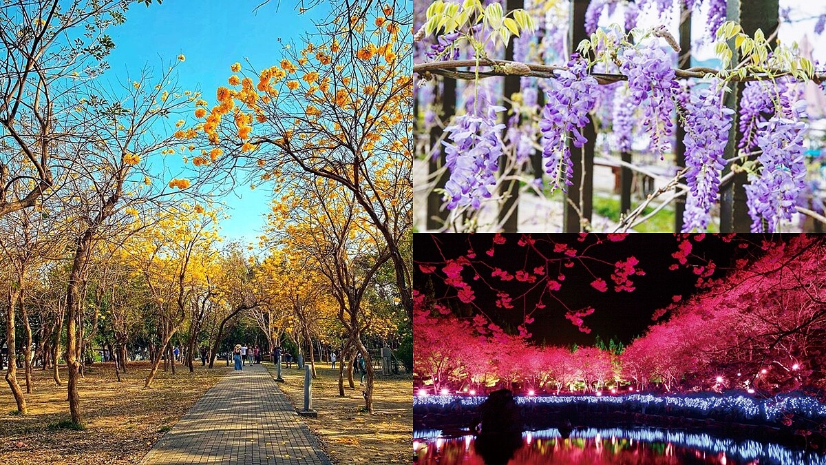 超夢幻「Pantone色花海」都在這！精選全台2022長春花藍、黃水仙賞花景點，網美快一一踩點