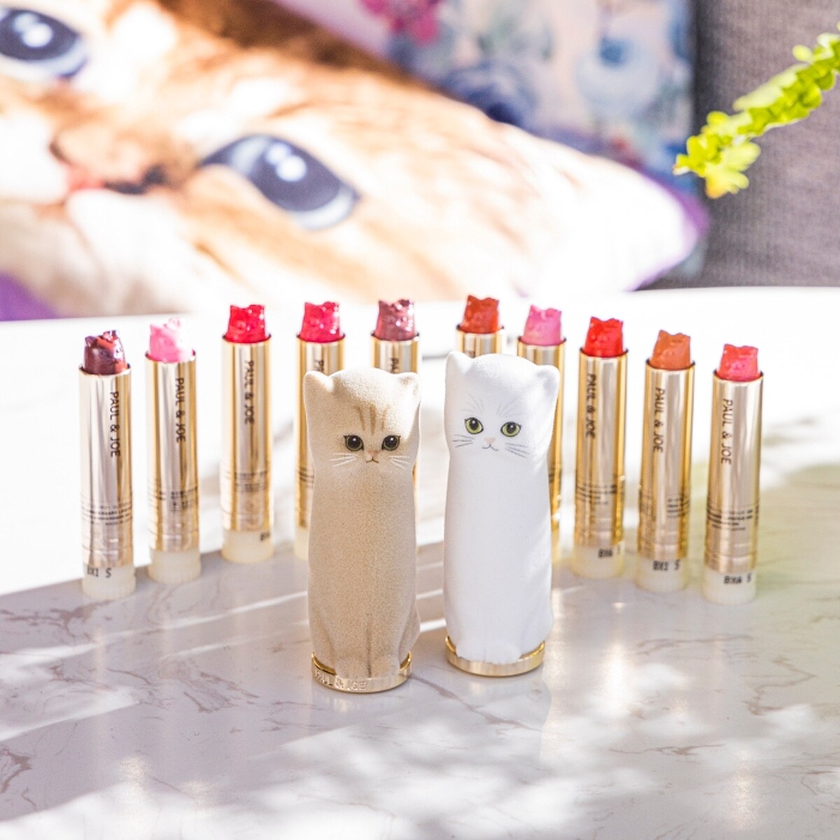 PAUL & JOE貓絨絨西洋菊貓咪唇膏組：貓絨絨限量貓咪唇膏盒(二款擇一)+西洋菊限量貓咪唇膏2.6g(10色擇一)，NT1,250。