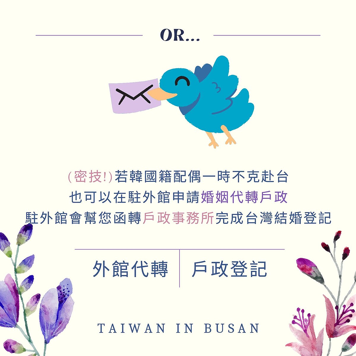 Photo / Taiwan in Busan 駐釜山辦事處