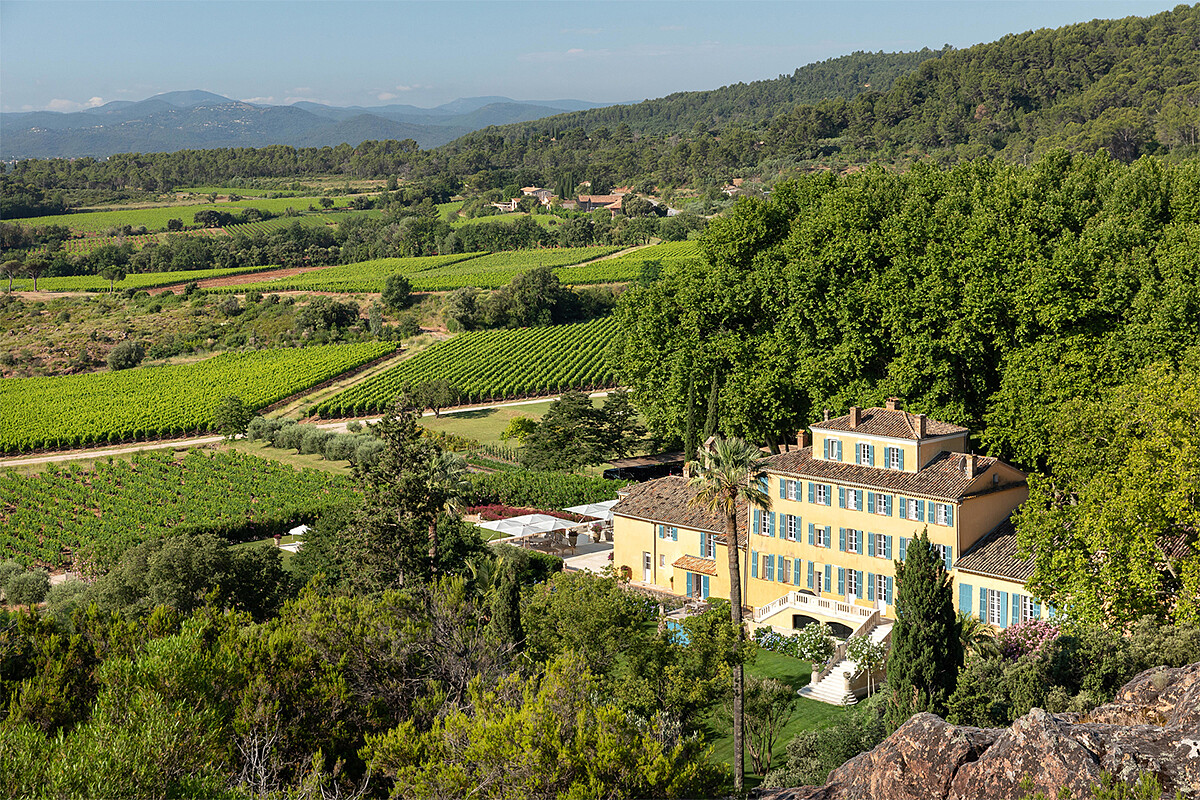 教父等級的粉紅酒品牌。