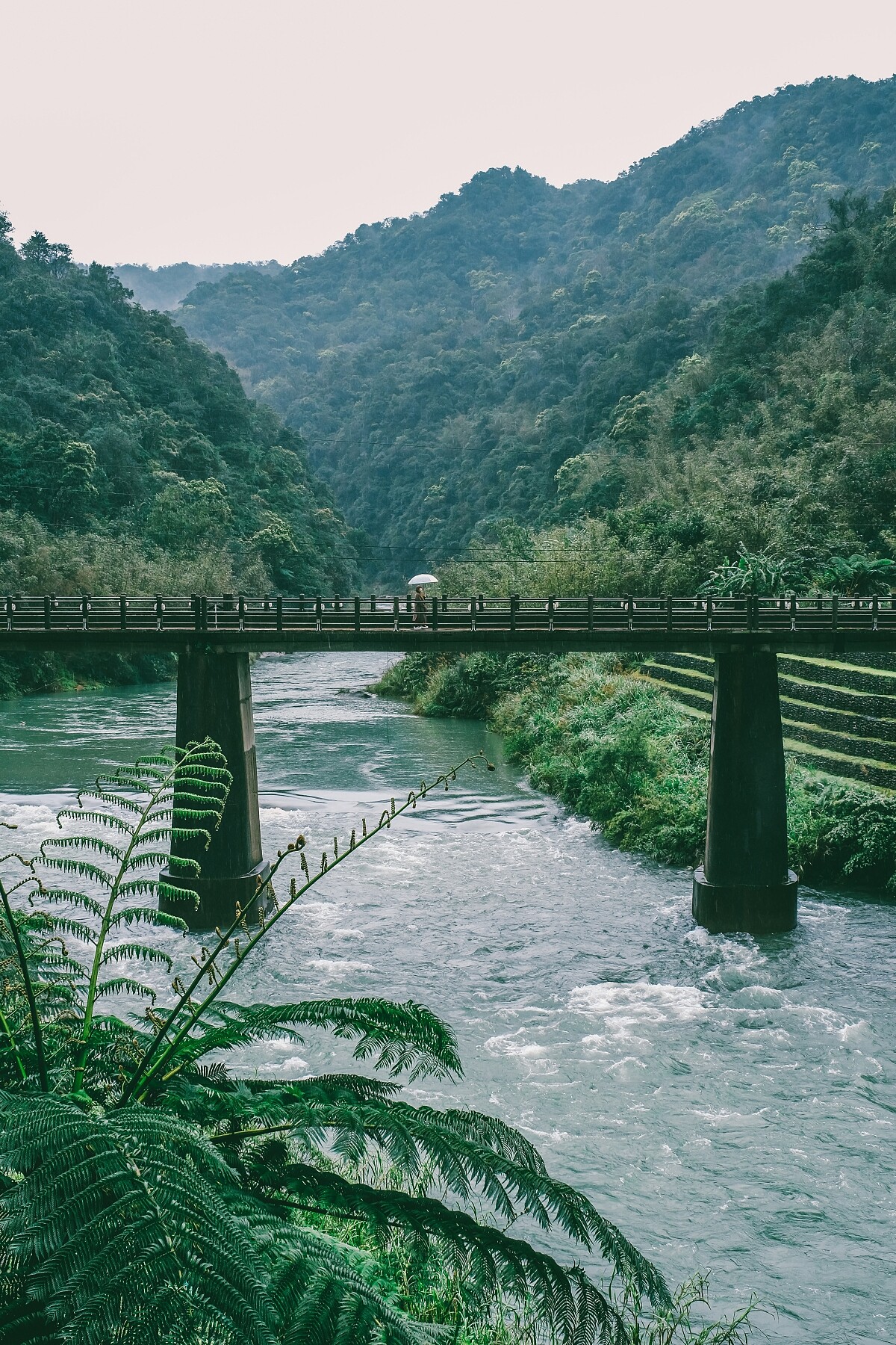 連結兩處河岸的橋樑。