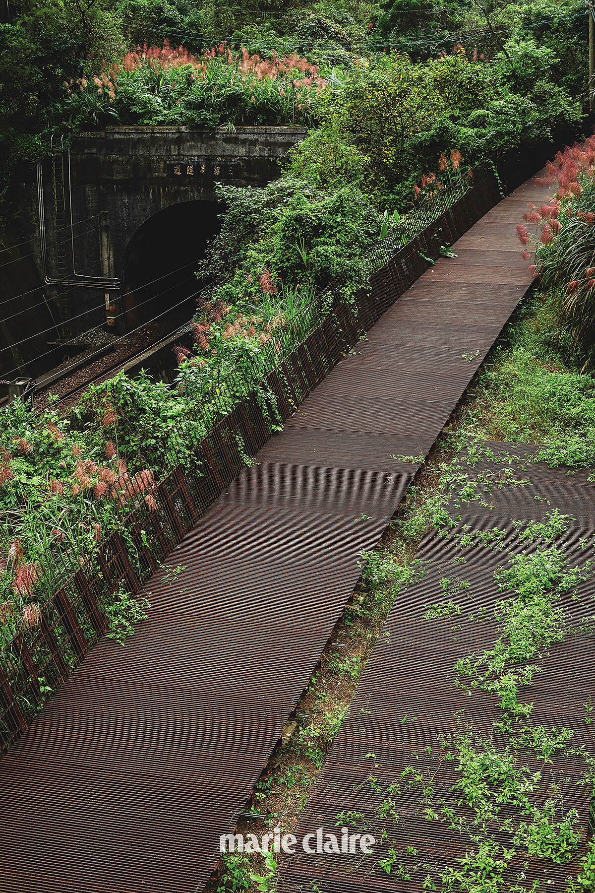 三貂嶺自行車道將由本月開通，未來將成為遊覽三貂嶺到牡丹的另一種方式。