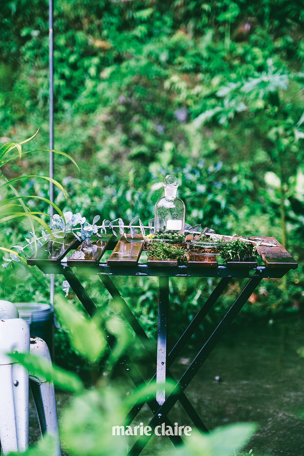 可在被原始綠意包圍下好好的停留休憩。