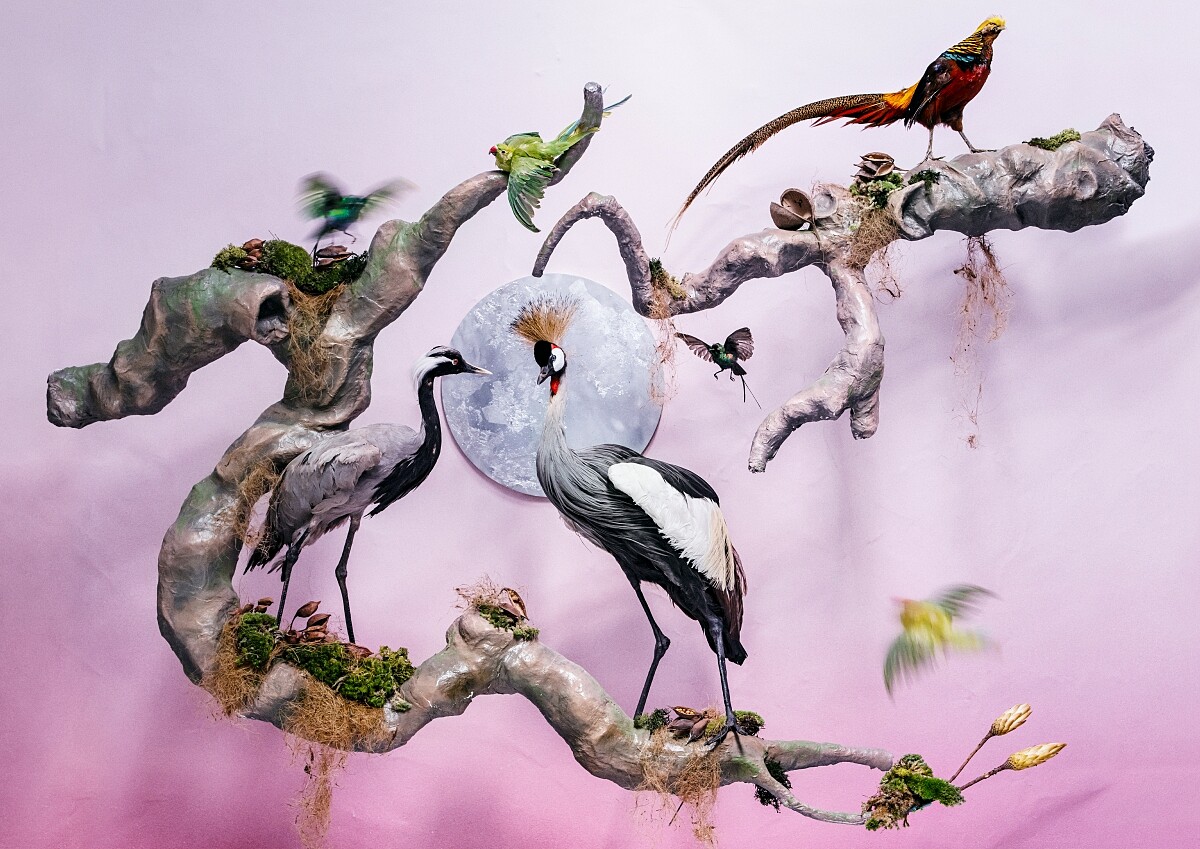 攝影師Tim Walker 以杜桑為靈感之創作