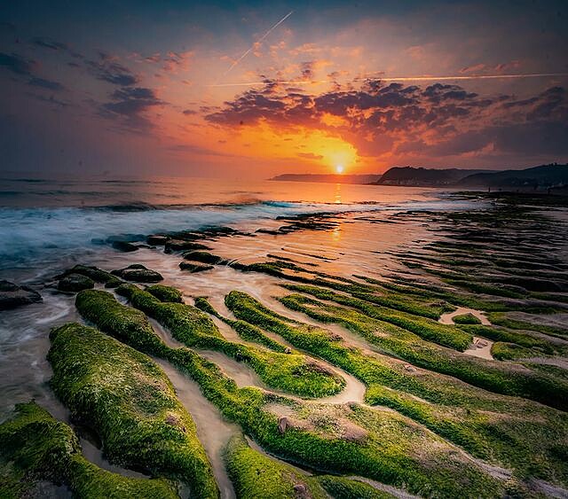 Photo／IG@jonathan201001授權提供