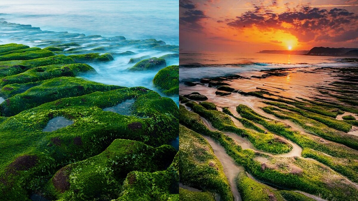 台灣8大秘境「老梅綠石槽」正轉綠！2公里長抹茶地毯超療癒，快把握觀賞期去朝聖