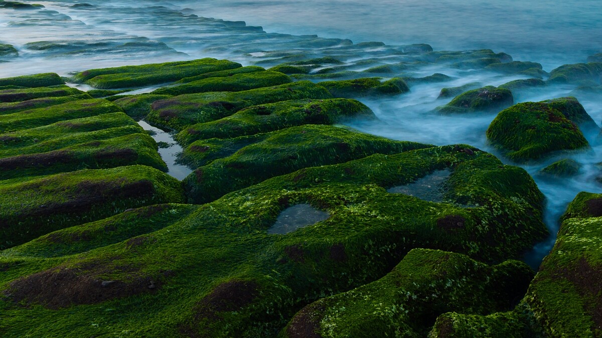 Photo／IG@luyen.photo授權提供