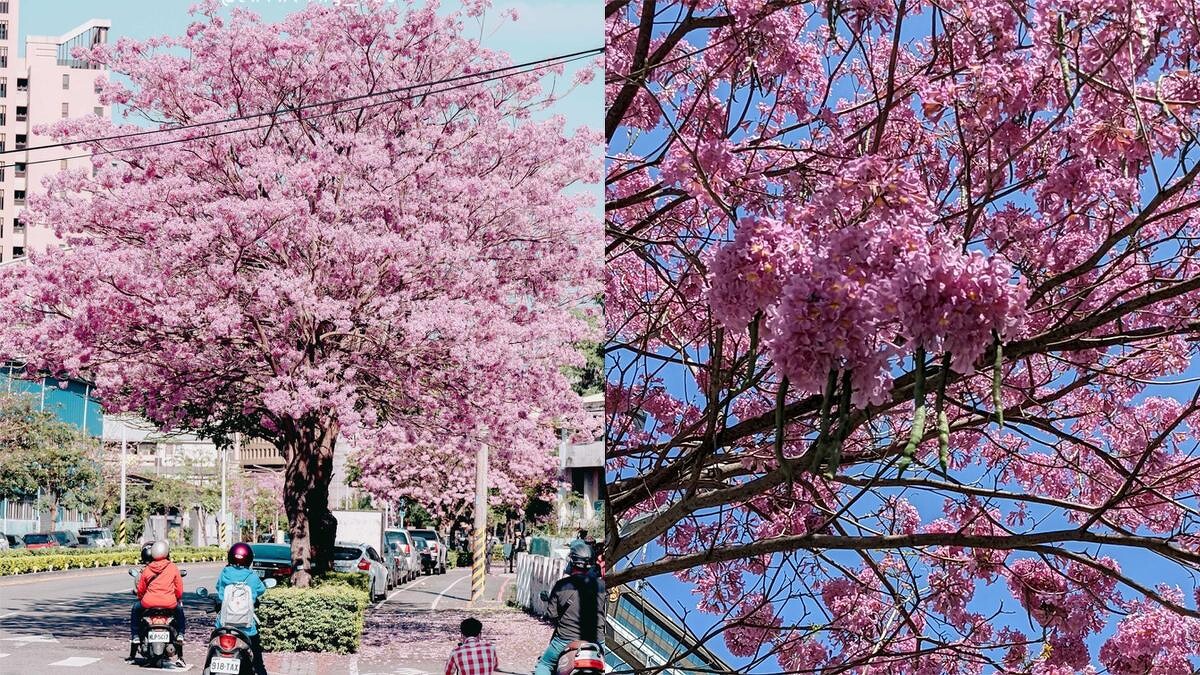 Photo∕IG @chinling_kuo、IG @smallfen001 授權提供