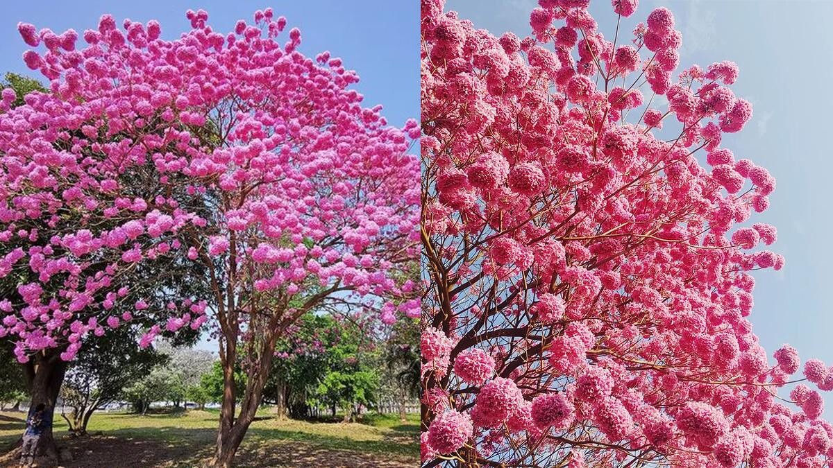 Photo／IG @ncbekjb、IG @summer_ming_yu 授權提供