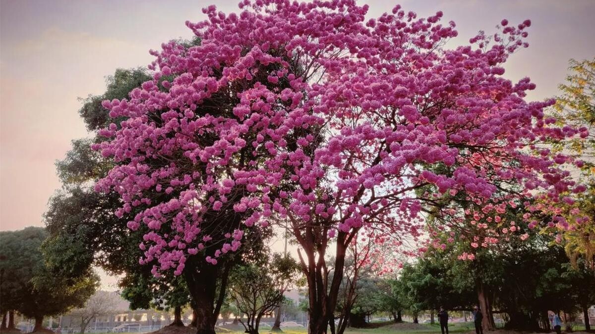 Photo／IG @hsuankai.wang 授權提供