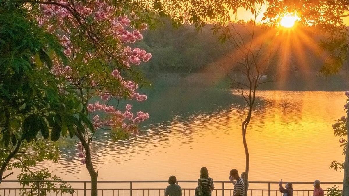 Photo／IG @marianne521025 授權提供