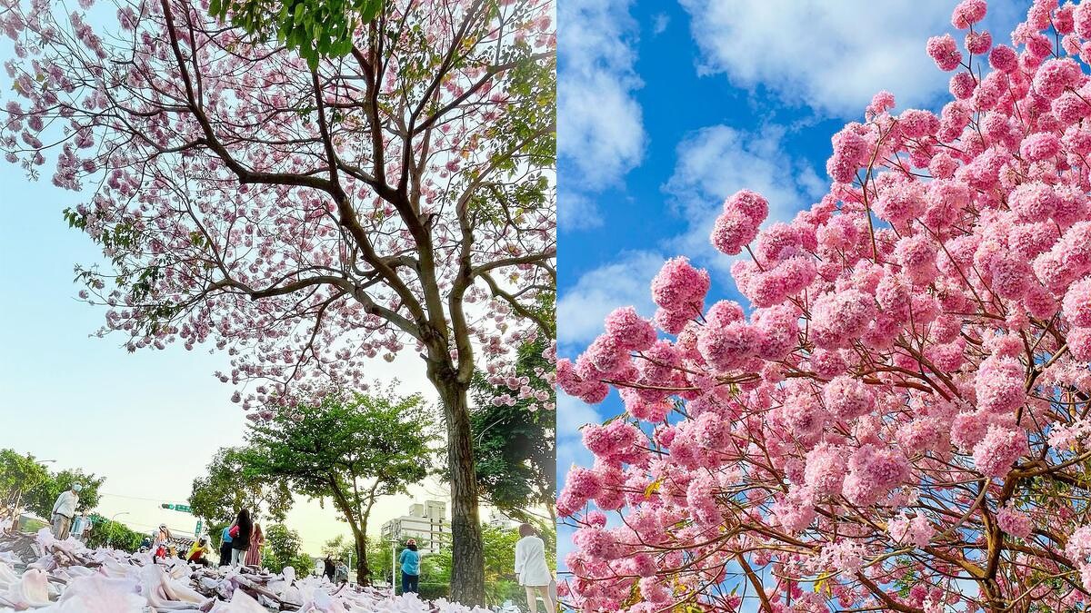 Photo／IG @wuen_photo 授權提供、潘孟安臉書 提供