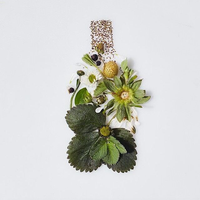 (MALIN+GOETZ)草莓淡香精情境圖。