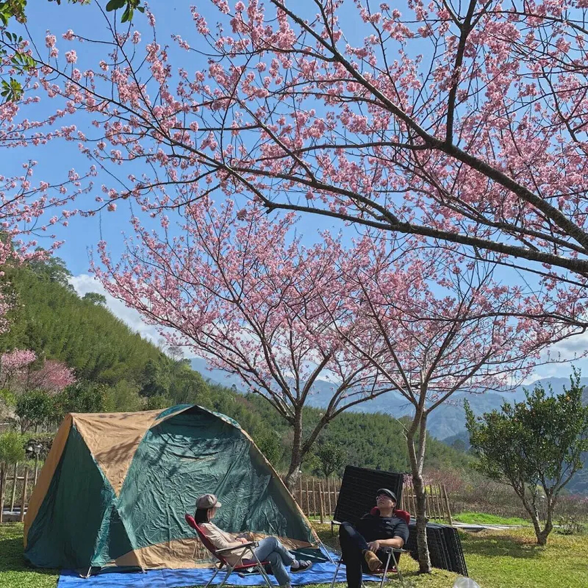 圖／IG@paulachenoo