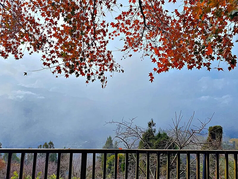 圖／IG@mahongxyuming