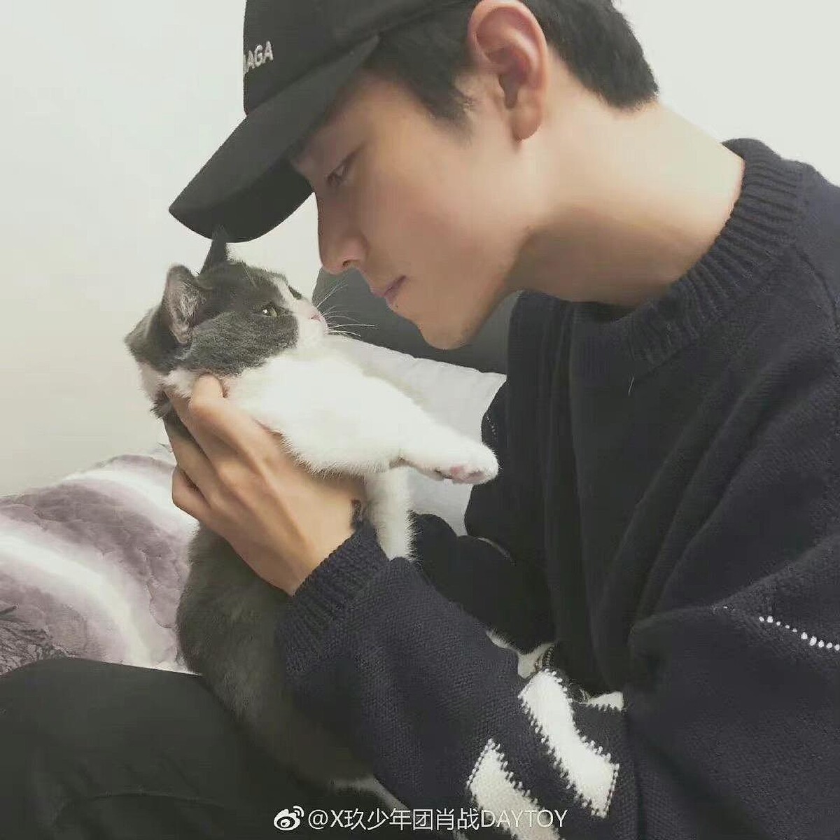 肖戰與主子堅果