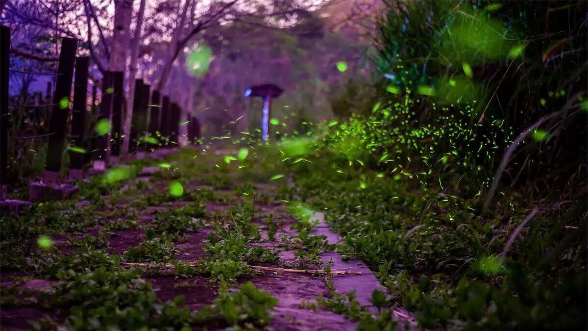 Photo／IG @denniswu008 授權提供