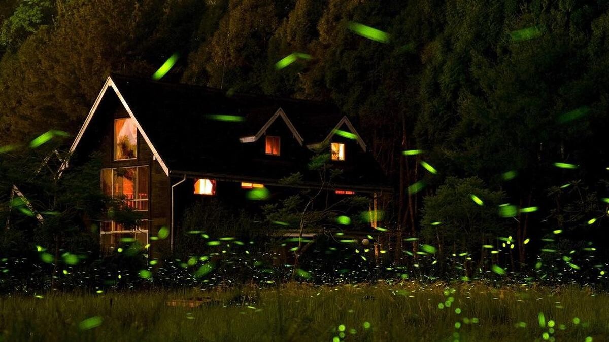 Photo／IG @ leon_slashie 授權提供