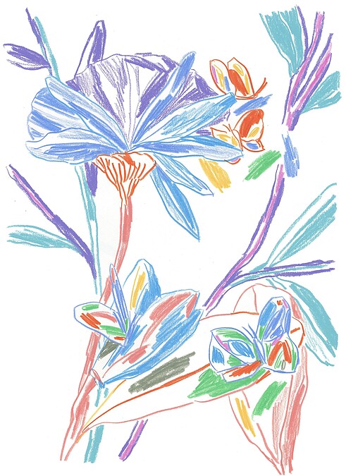 Van Cleef & Arpels梵克雅寶攜手法國藝術家Alexandre Benjamin Navet創作繁花盛放的春日詩意花園插畫