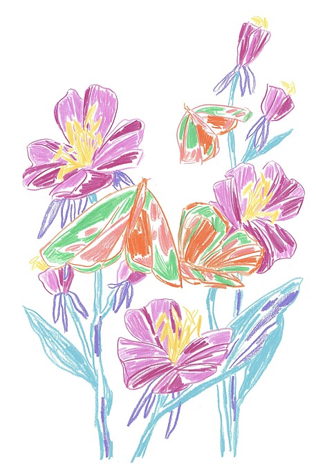 Van Cleef & Arpels梵克雅寶攜手法國藝術家Alexandre Benjamin Navet創作繁花盛放的春日詩意花園插畫