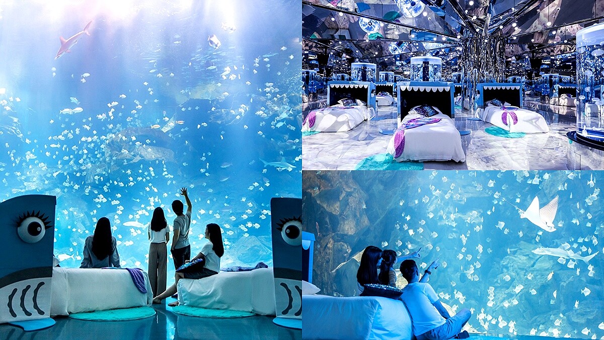 可以睡在Xpark裡面了！全台唯一頂級海洋系夜宿登場，看魚群悠游入眠超幸福，還有一泊三食不怕餓到