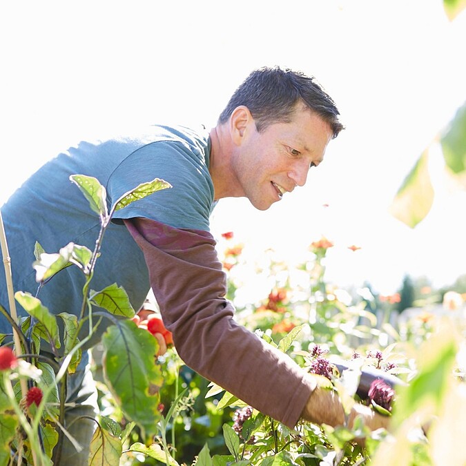 (MALIN+GOETZ)番茄限量香氛蠟燭情境圖。