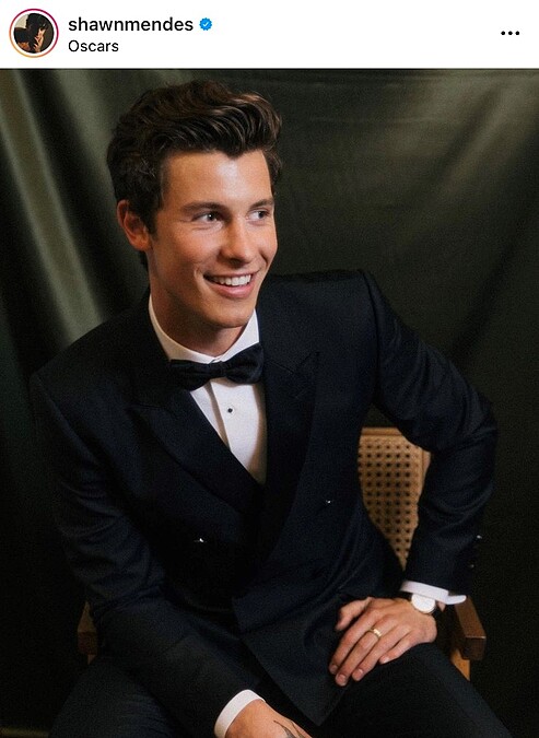 2022奧斯卡紅毯的男星造型與穿搭手錶：尚恩曼德斯 Shawn Mendes