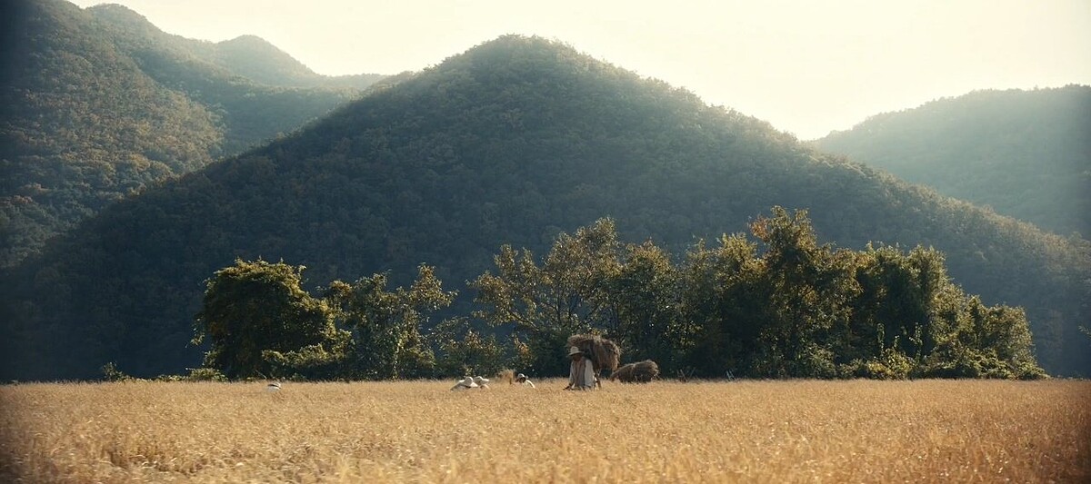 《柏青哥》詩意畫風扣人心弦