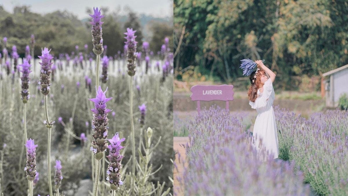 Photo／IG @ ellie_0827、IG @ rebeccachen0421 授權提供