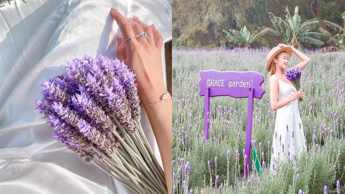 Photo／IG@ guang_wanniii 授權提供