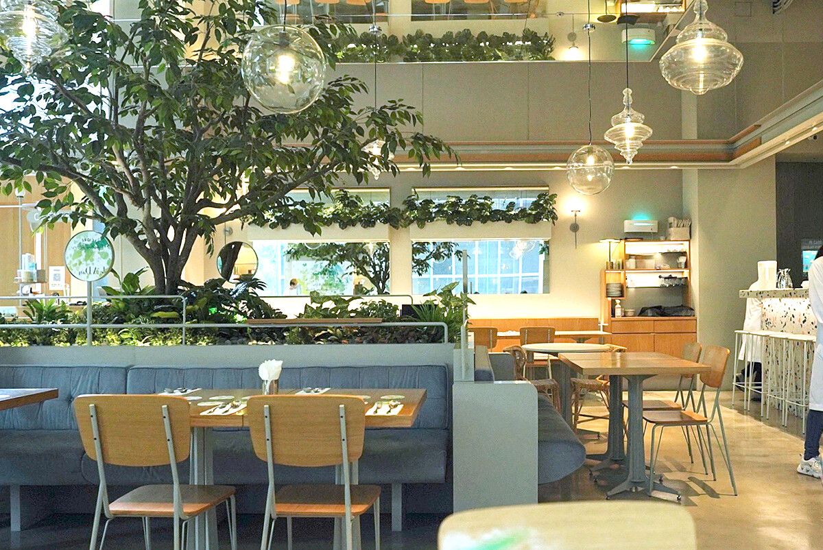 小小樹食。