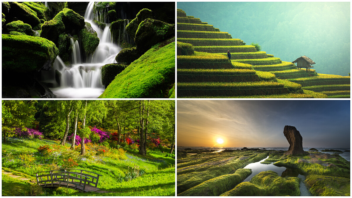 神準心理測驗／第一眼最想去的地方？測療癒身心、給你力量的人事物！