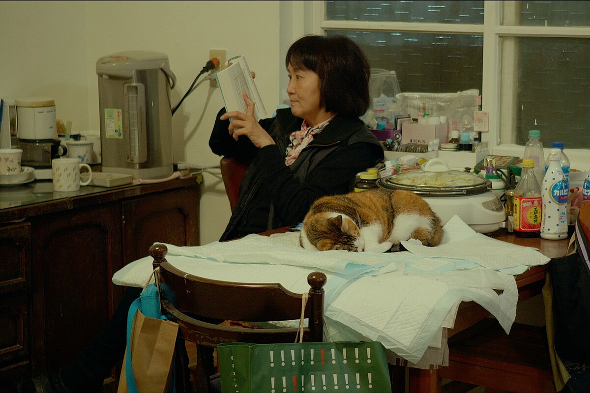 ▲朱家的生活常有貓狗相伴。（圖／目宿媒體提供）