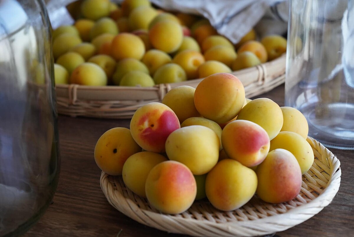 做果醬過程的果核也可泡製醬油。