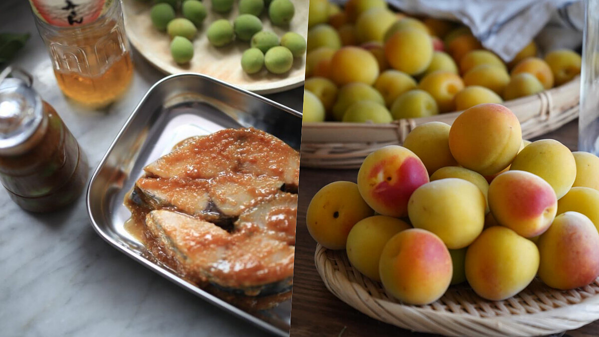 除了自製梅酒還有這些梅仕事：梅果醬、梅醬油、梅味噌食譜全收錄