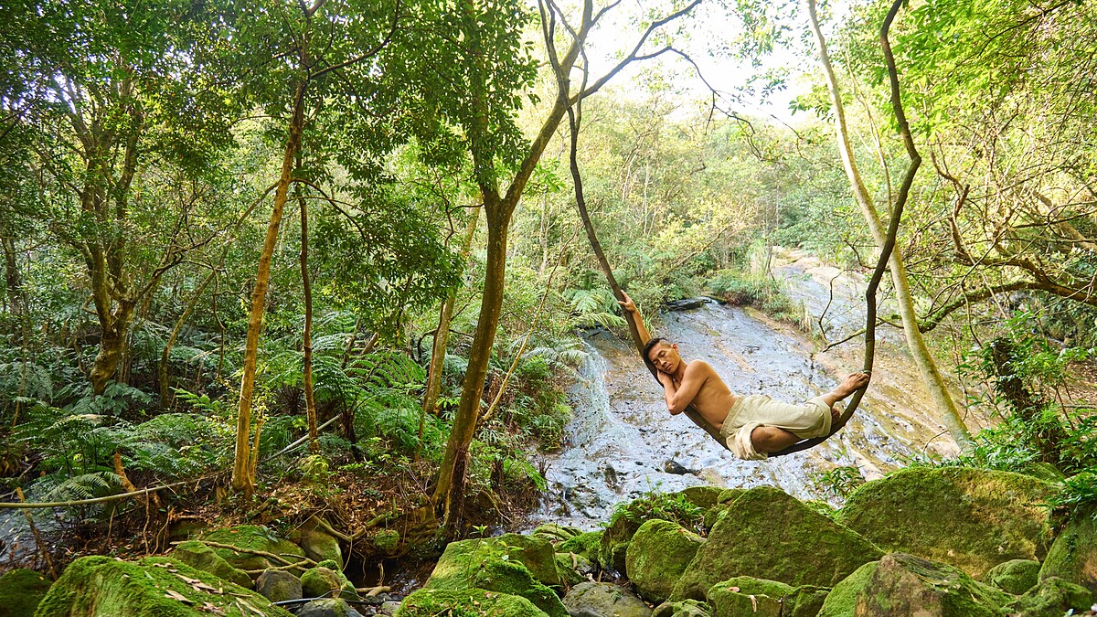 僻靜秘境｜療癒學院，月光下12小時望月潮頌缽銅鑼浴，覓得安然靜心的所在