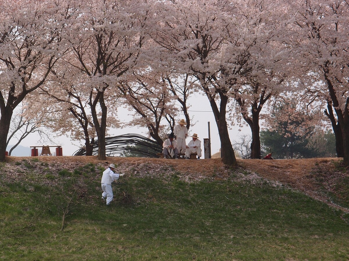 河回村內穿著儒生服飾的韓國老人。