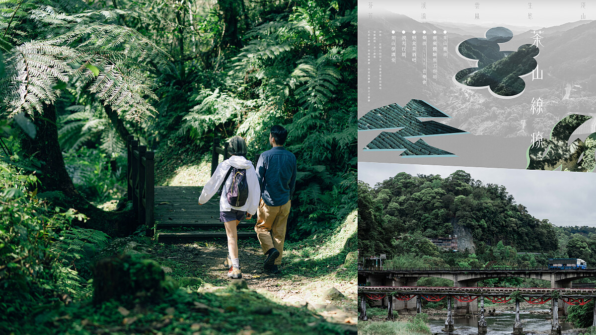 跟著「茶山繚療」茶香山林療癒你的身心，用博物館、市集深度探索坪林