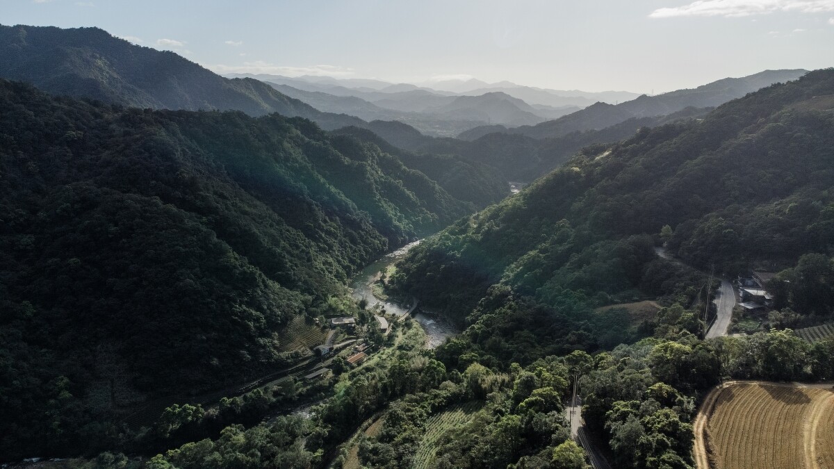 「坪林」境內多山地，像是一座平行於都市的森林、被山水環繞的秘境。