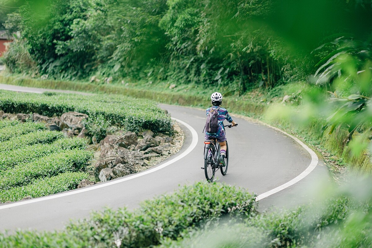 坪林有其獨特的風格及豐富原始的生命力。