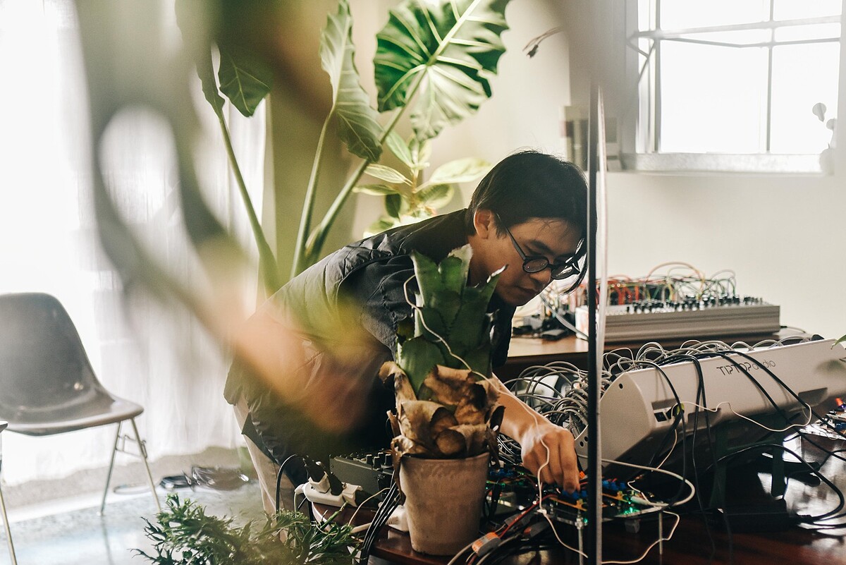 N Studio 植物通電。