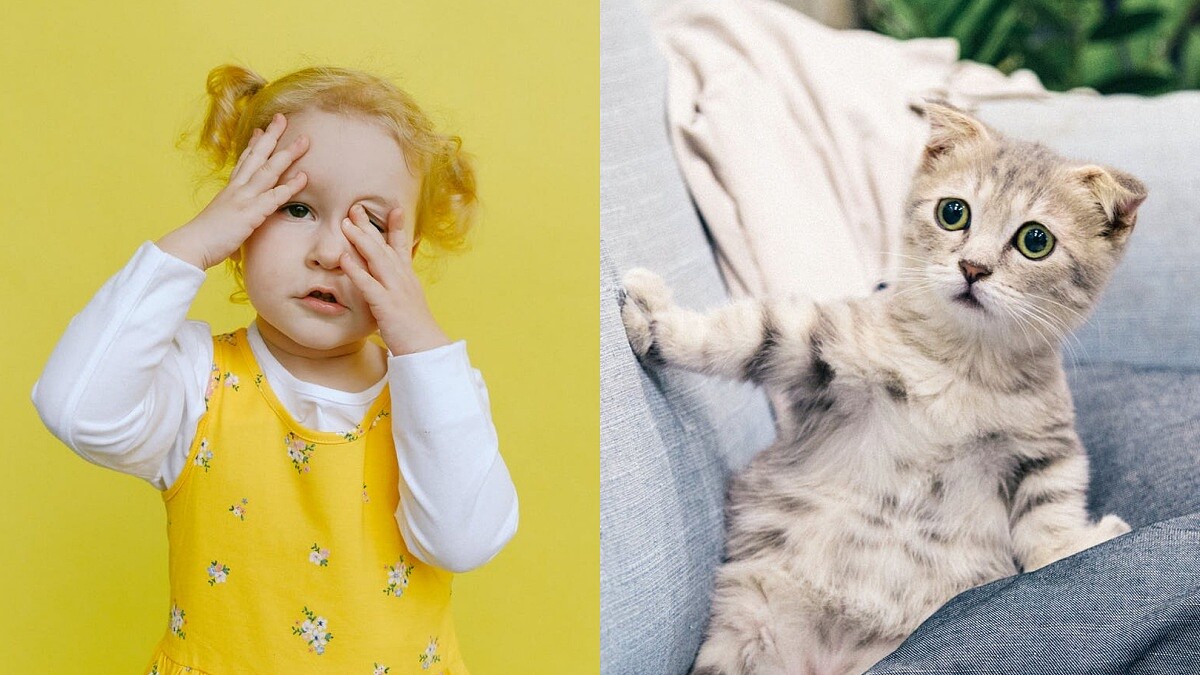 12星座尬聊排行榜公開!TOP1還以為是聊天機器,沒想到是氣氛終結王?